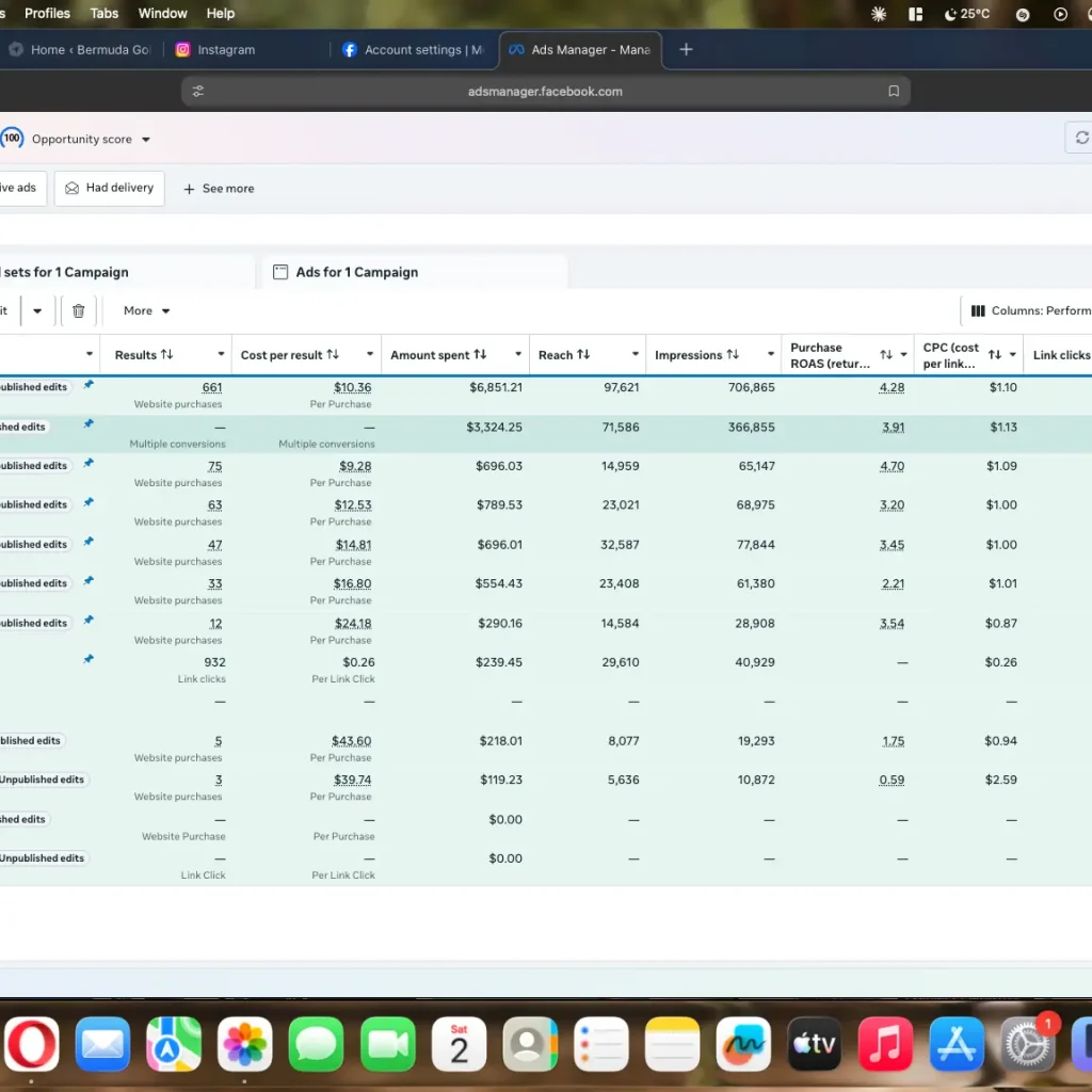 Meta Advertising & Performance Scaling screenshot 2